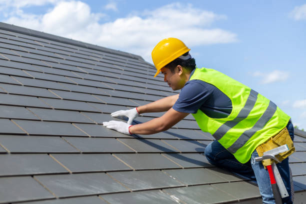 Best Roof Gutter Cleaning  in South Bay, FL